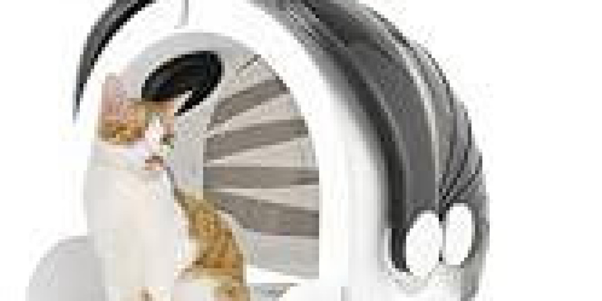 Should You Choose Pawtechpet Pet Dryer Today