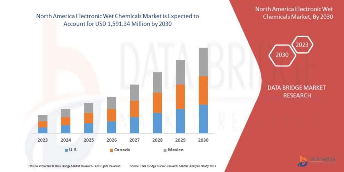 North America Electronic Wet Chemicals Market: Size, Share, and Growth Forecast 2025 –2032