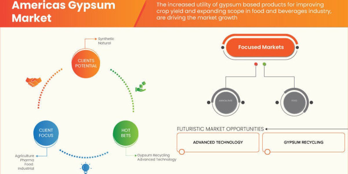 Americas Gypsum Market : Trends, Forecast, and Competitive Landscape 2025 –2032
