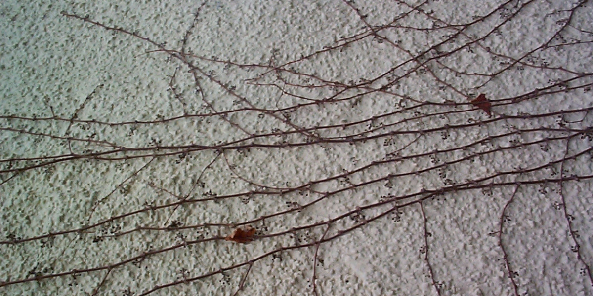 Hotel Mindil Beach Casino Resort, The Gardens, Australia Lowest Rate Guaranteed!