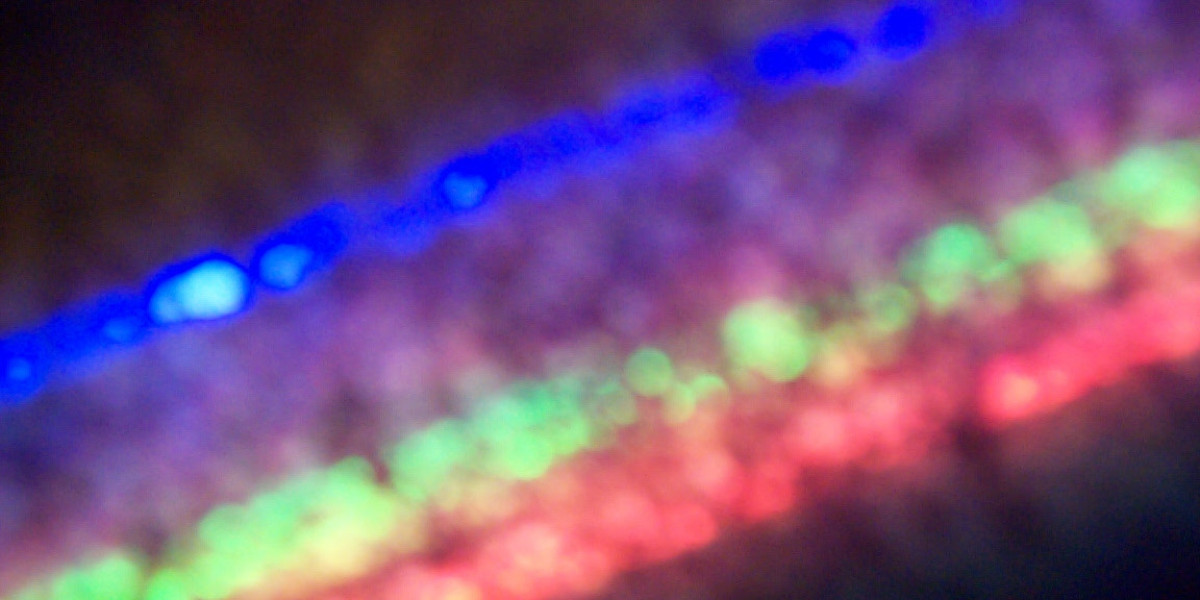 Best No Deposit Casinos & Bonuses in NZ 2025