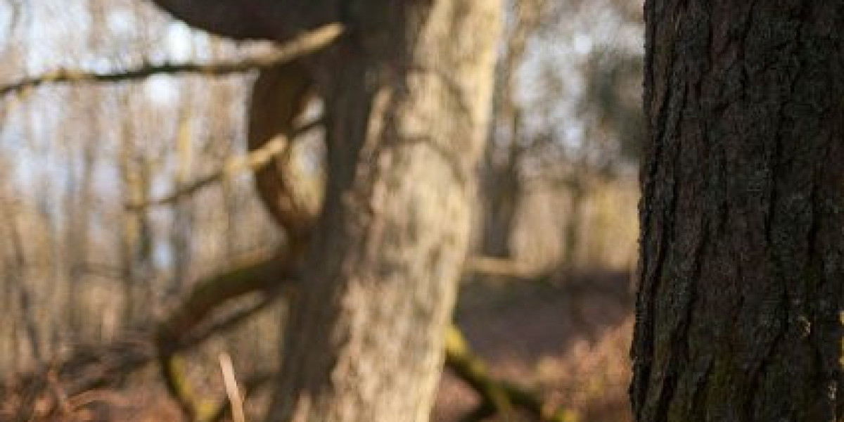 Best Online Casino Australia for Real Money 2025