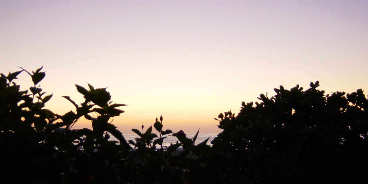 Best Online Casinos in Australia 2025 Top Casino Sites