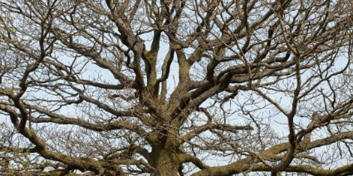 30+ Top Real Money Australian Online Casinos November, 2025