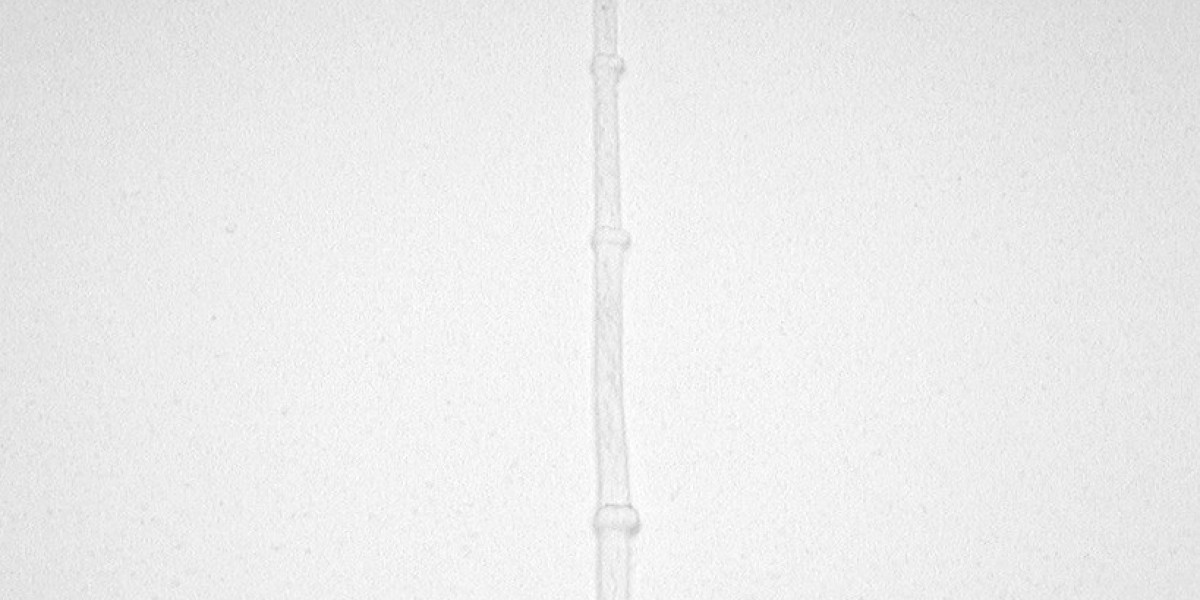 How to Trick A Slot Machine to Win: 7 PROVEN Methods