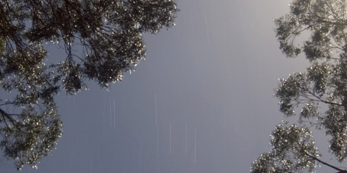 Expert & Player Ratings 2025