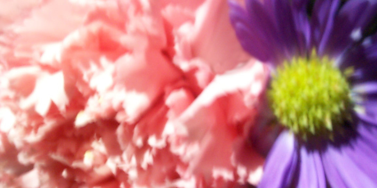 Casino World Apps on Google Play