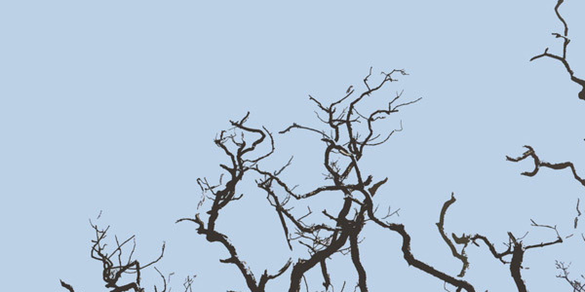 Sweepstakes sites like Crown Coins: 3 new sweepstakes casinos alternatives