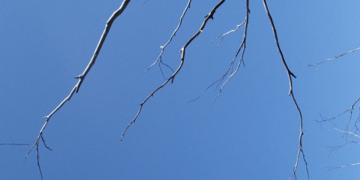 Play Slots, Live Games & Win Big Online