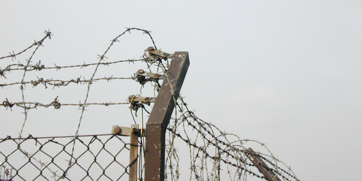 Discover Top Games and Bonuses in Australia