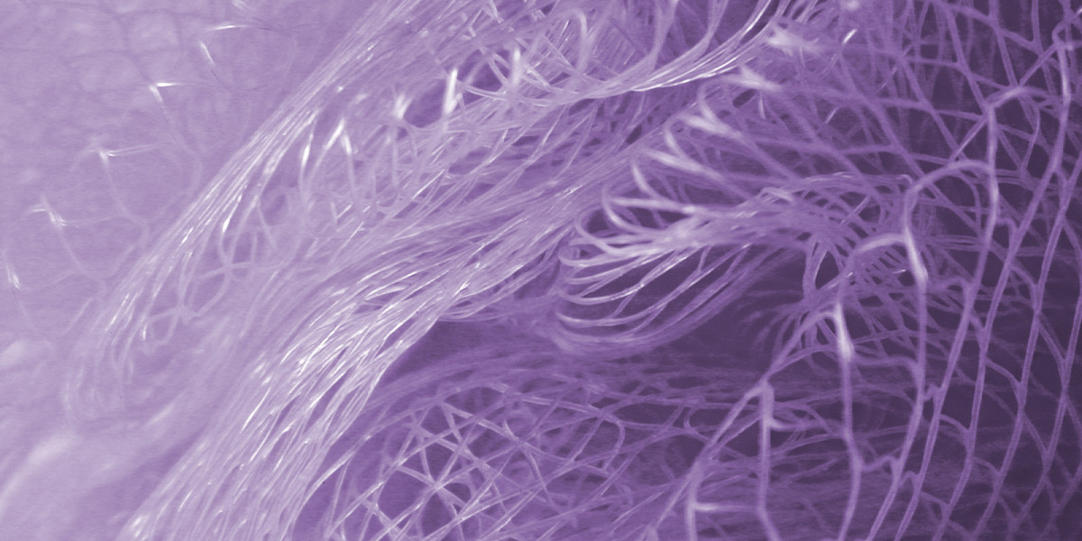 Stay Casino Slots, No Deposit Bonus and Login from Canada 2025