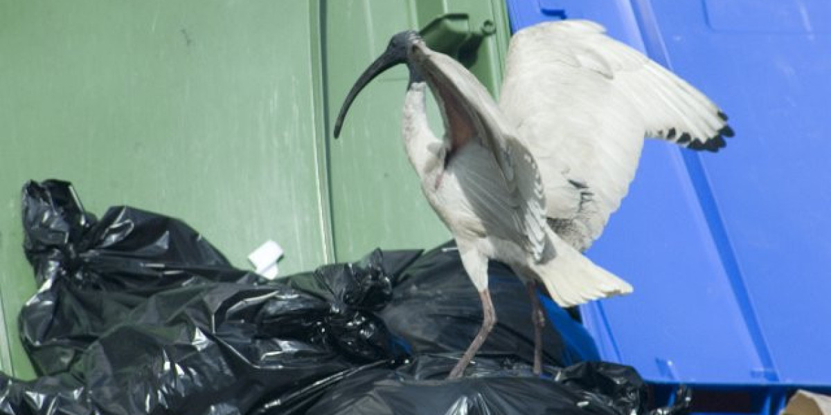 Best Online Casino Games South Africa