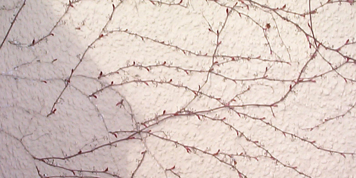 Mobile App Instant Play Online Pokies Free Spins Tournaments No Deposit Bonus Codes 2025 Promo Coupons FairGoPlus