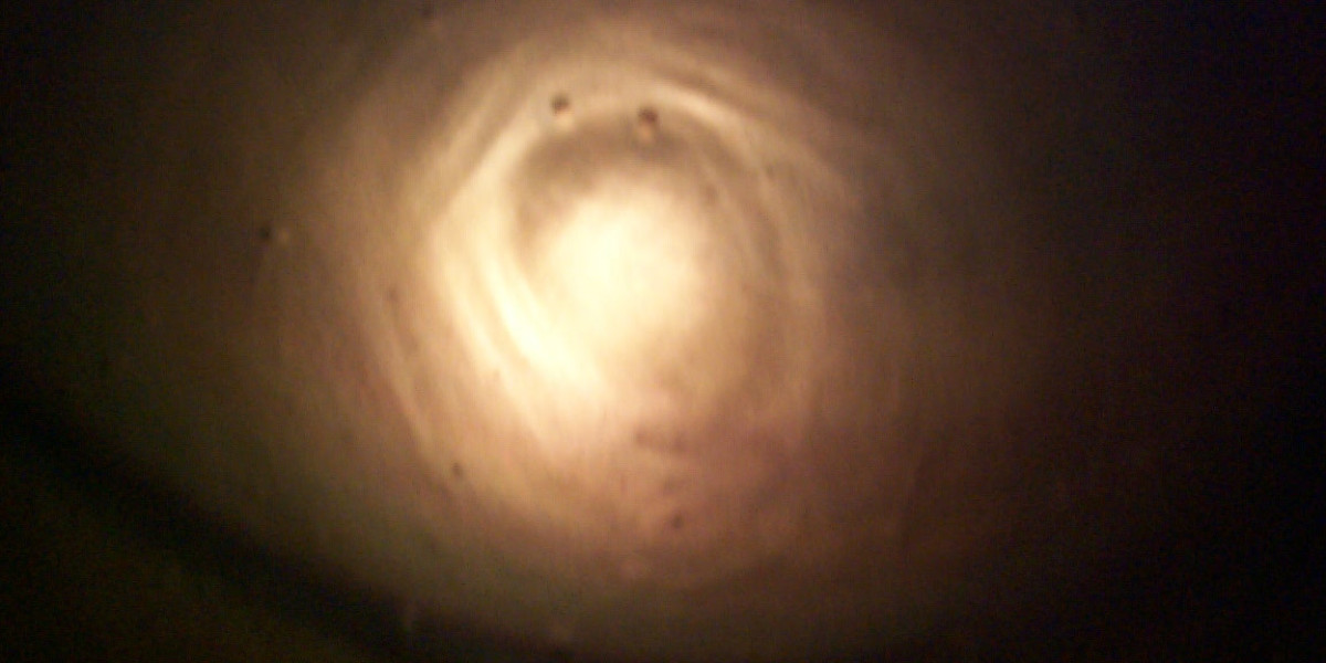 Uncategorized Archives