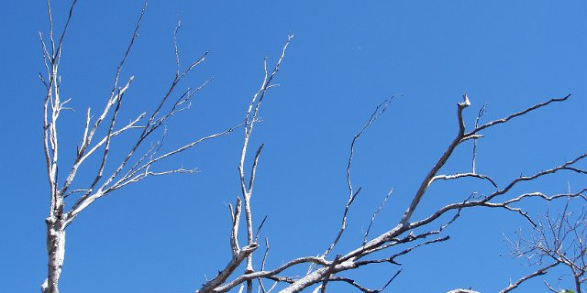 Best Online Casino for Slots, Bonuses & Live Games