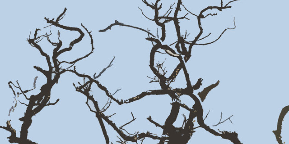 Play Top Online Slots, Live Games & Win Big