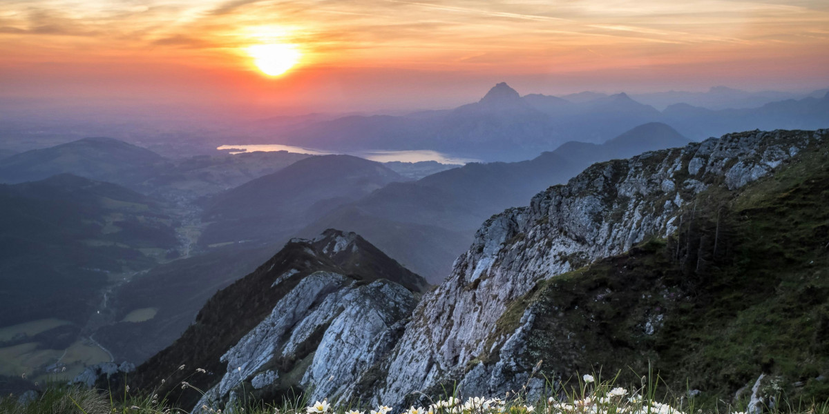 FO76 Rare Items Farming Guide – ezpnc Tips