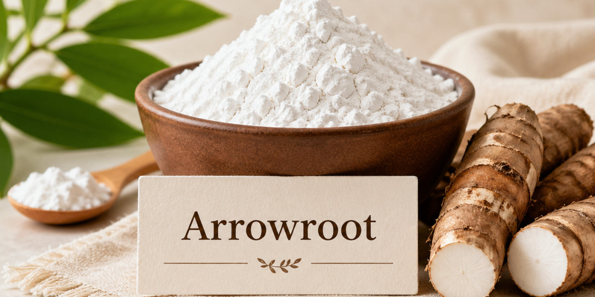 Arrowroot Market Future Trends 2026-2034: Innovation and Clean Label Demand Shape the Next Growth Phase