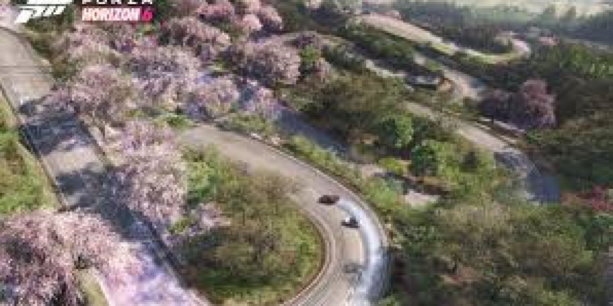 Beyond Speed: The Living World of Forza Horizon 6