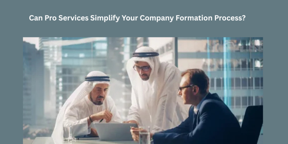 Can Pro Services Simplify Your Company Formation Process?