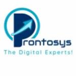 Prontosys IT Services