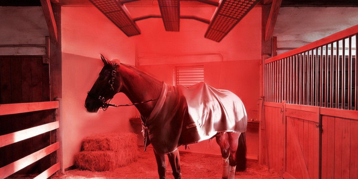 Boost Your Horse’s Recovery with a Red Light Therapy Blanket