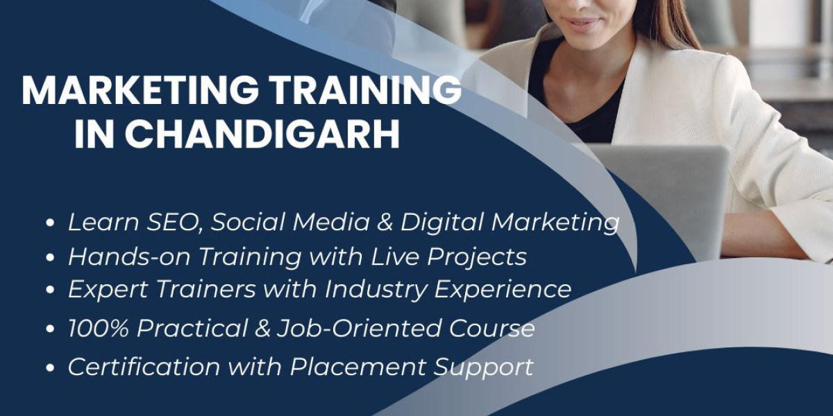 Build Practical Skills for a Successful Professional Journey
