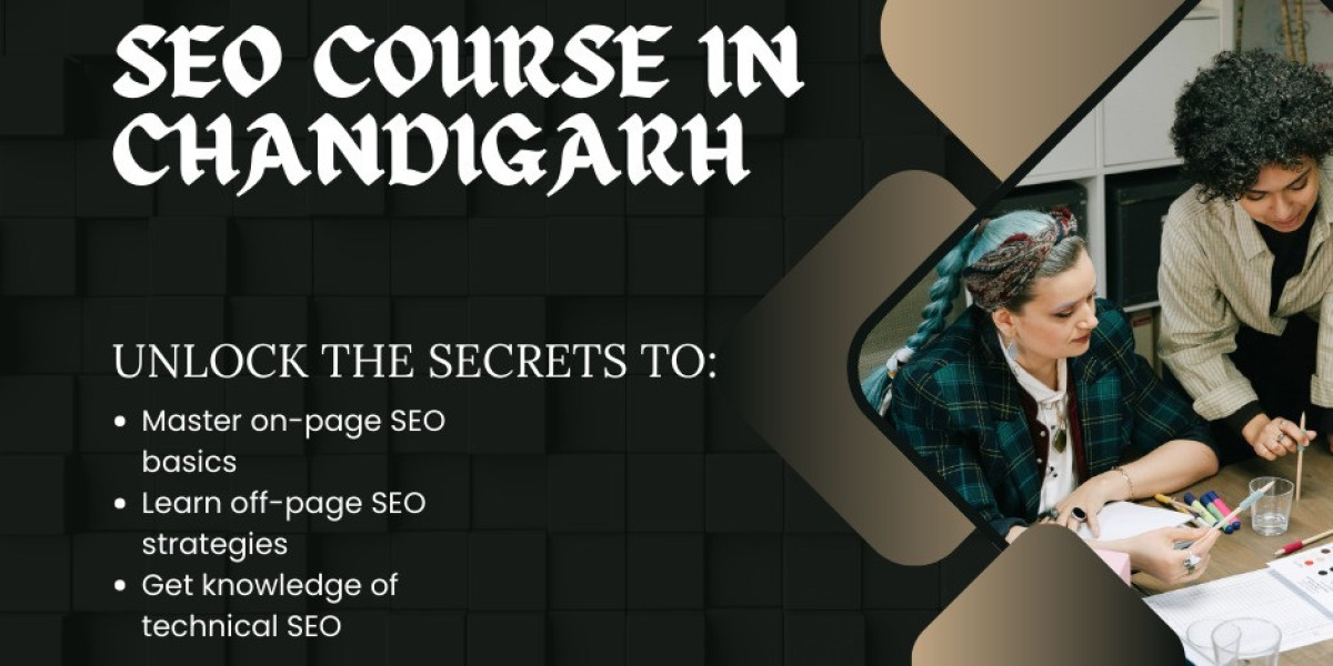 Build a Successful Career with SEO Training and Java Programming