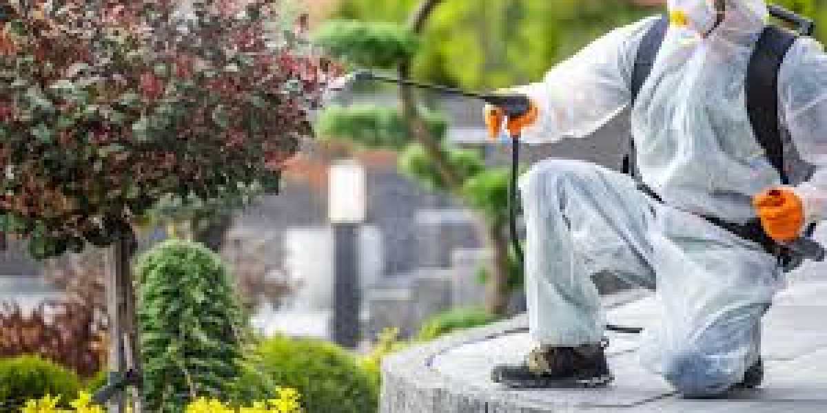 Pest Control Grantsville Utah and Yard Care Guide