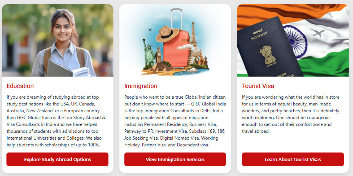 Immigration Consultants in Delhi: A Practical Guide to Australia and Canada PR Options